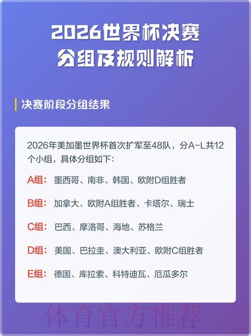 2026世界杯决赛全程比分深度解析